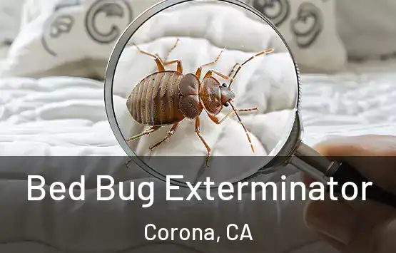 Bed Bug Exterminator Corona, CA