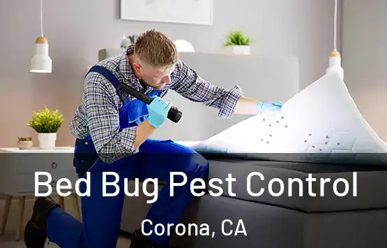  Bed Bug Pest Control Corona, CA