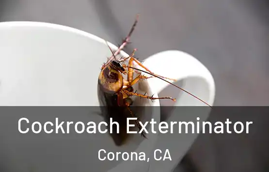  Cockroach Exterminator Corona, CA