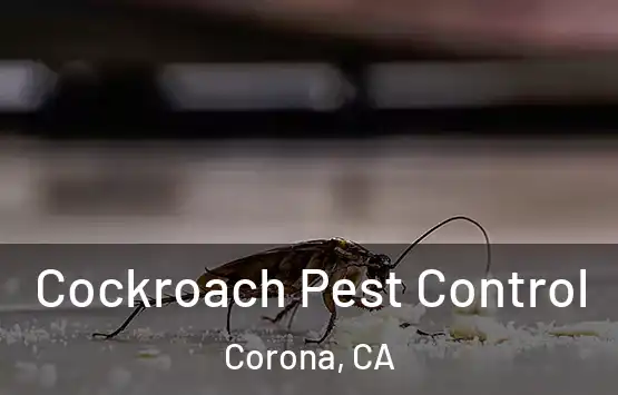  Cockroach Pest Control Corona, CA