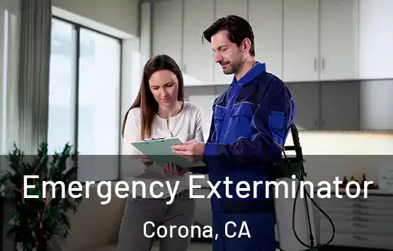  Emergency Exterminator Corona, CA