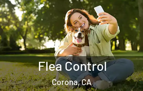  Flea Control Corona, CA
