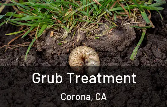  Grub Treatment Corona, CA
