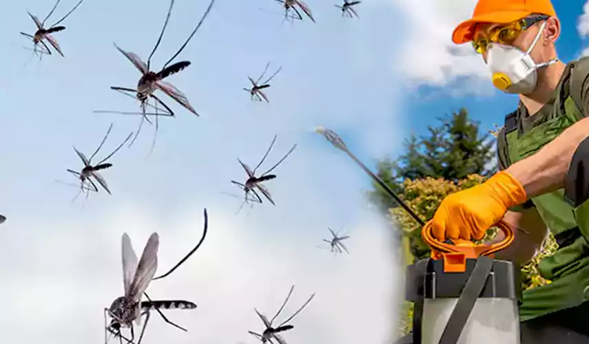 Mosquito Pest Control in Corona, CA