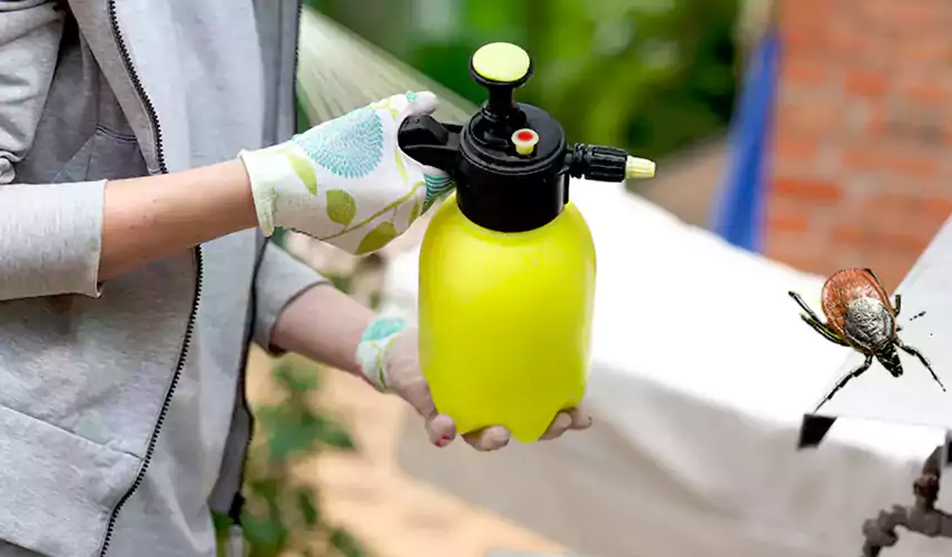 Ticks Pest Control Corona, California