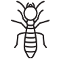 Termites Pest Control Corona, California