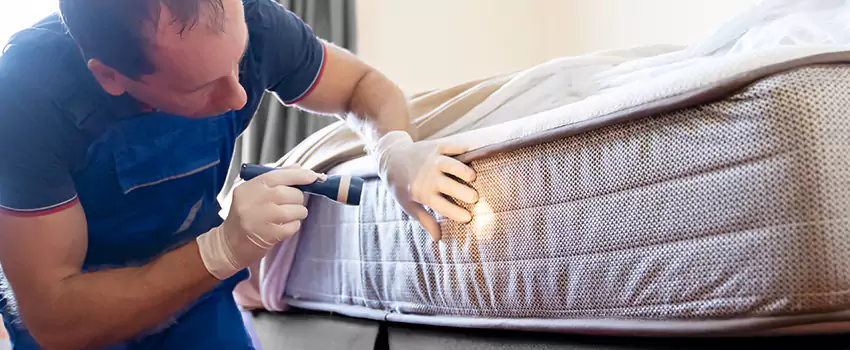 bed-bug-exterminator in Corona, CA