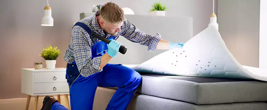 bed-bug-treatment in Corona, CA