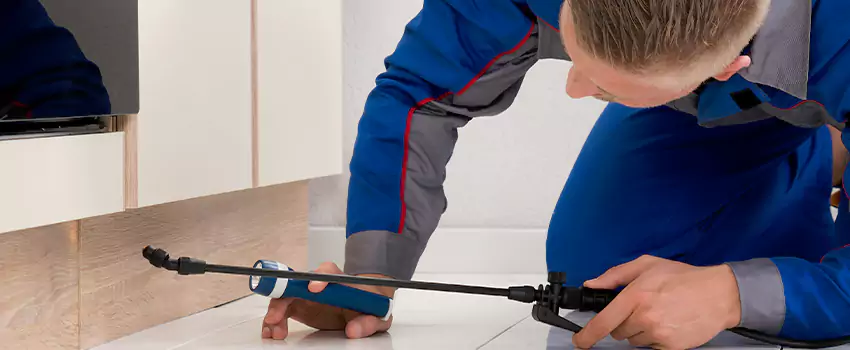 Ant Control for Bedrooms in Corona, CA