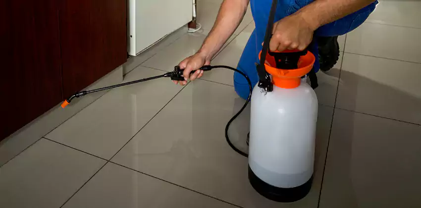 Commercial Pest Extermination for Offices in Corona, CA