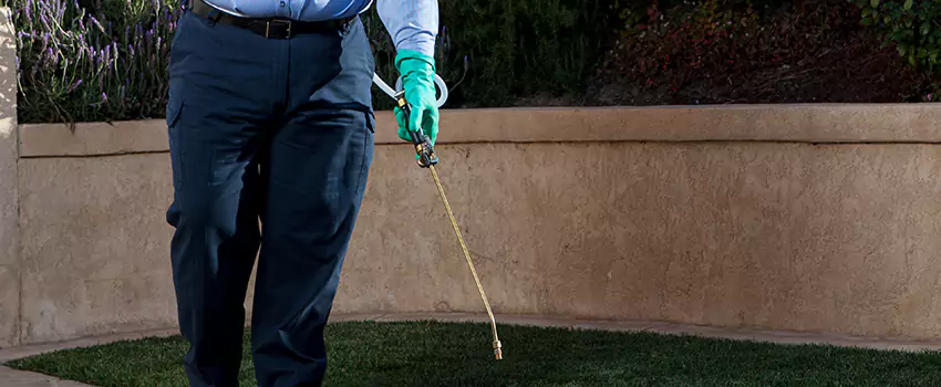 Emergency Pest Extermination for Children and Pets Corona, CA