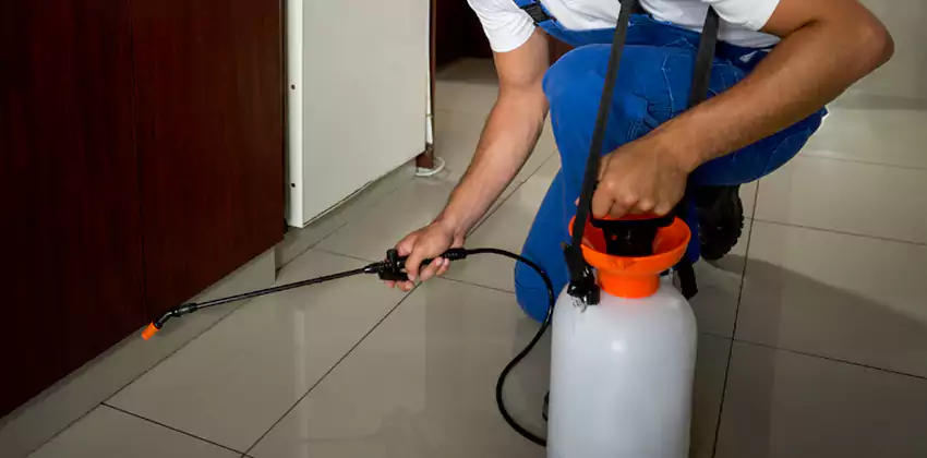 Commercial Flea Exterminator Company in Corona, CA