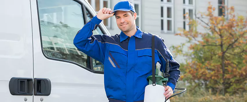 Organic and Chemical Spider Control Options Corona, CA