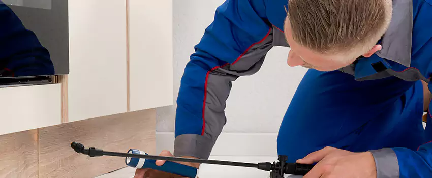 Termite Control for Children and Pets in Corona, CA