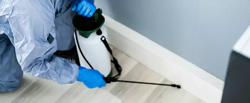 cockroach-exterminator in Corona, CA