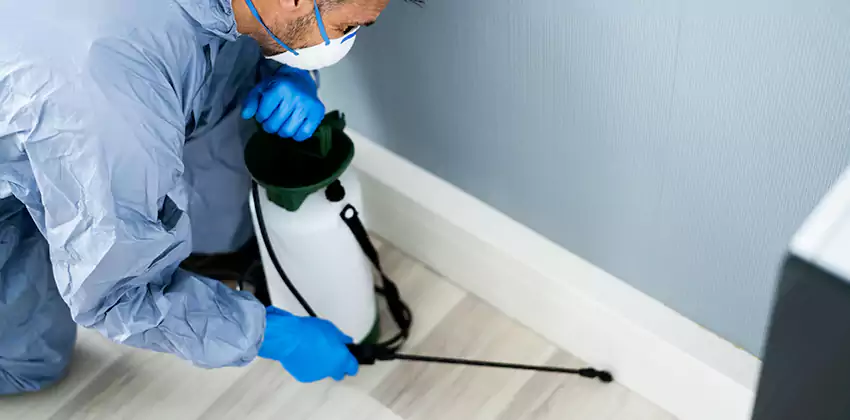 commercial-pest-exterminator in Corona, CA