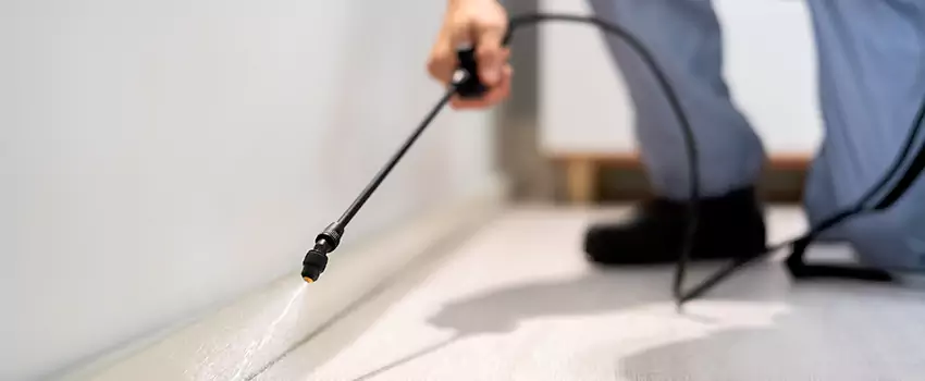 pest-exterminator in Corona, CA