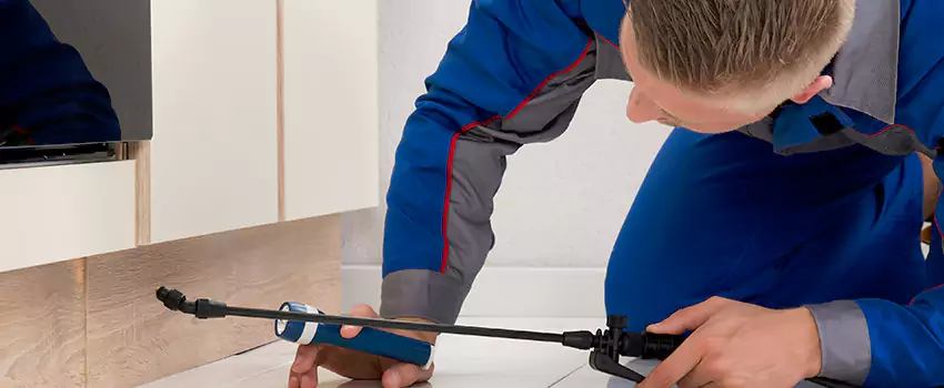 Pest Exterminator Company in Corona, CA