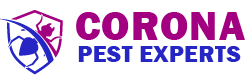 Corona Pest Experts