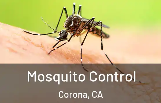  Mosquito Control Corona, CA