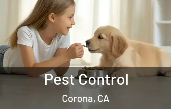  Pest Control Corona, CA