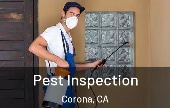  Pest Inspection Corona, CA