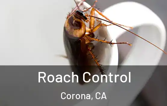  Roach Control Corona, CA
