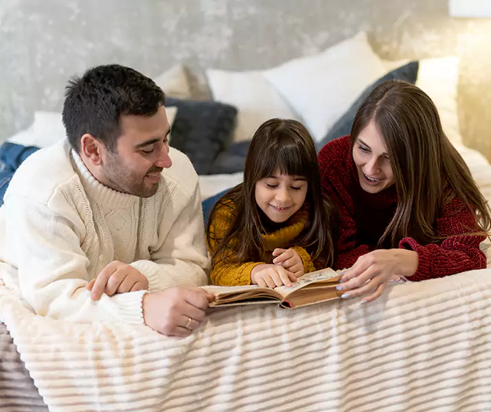 About Bed Bug Pest Control Corona