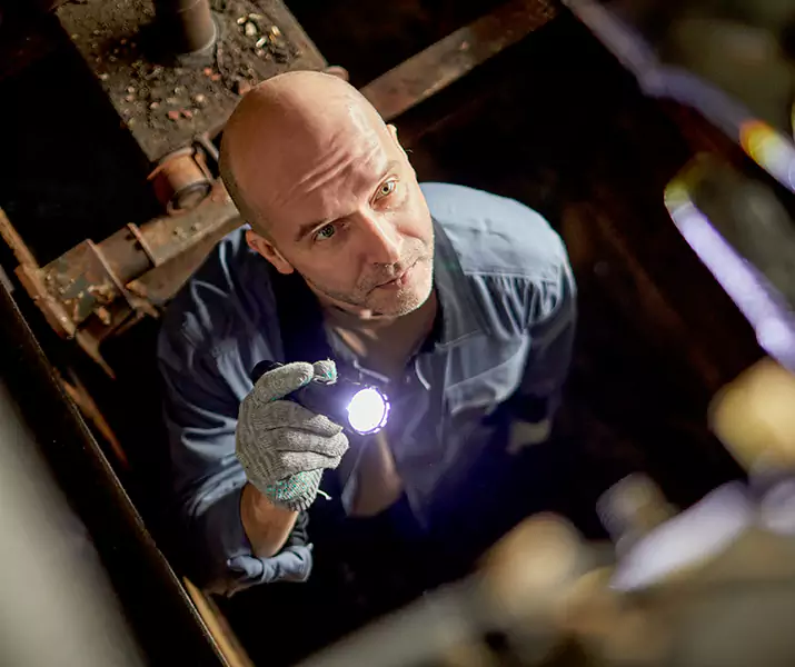 About Pest Inspection Corona