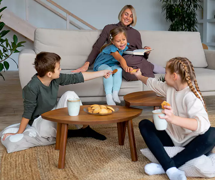 About Spider Exterminator Corona