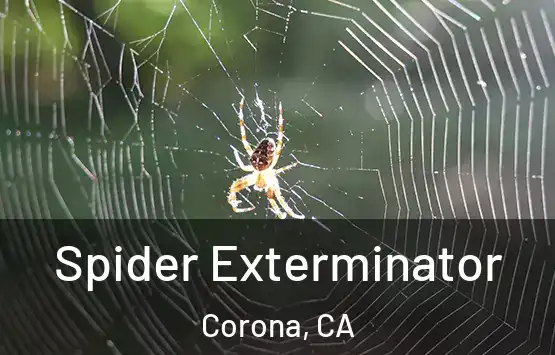  Spider Exterminator Corona, CA