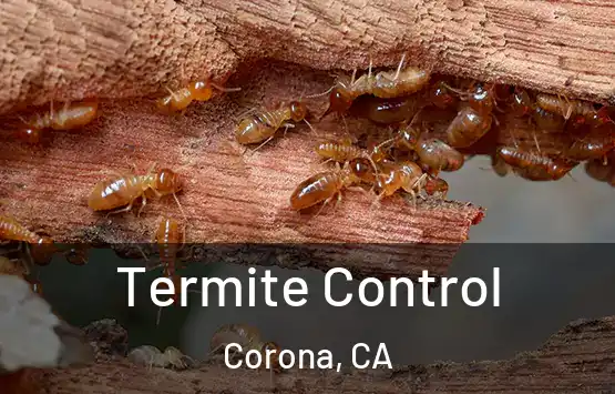 Termite Control Corona, CA