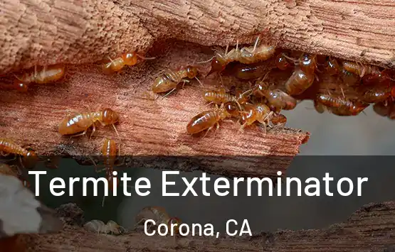 Termite Exterminator Corona, CA