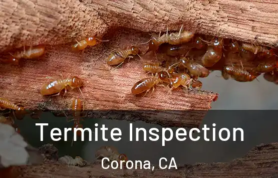  Termite Inspection Corona, CA