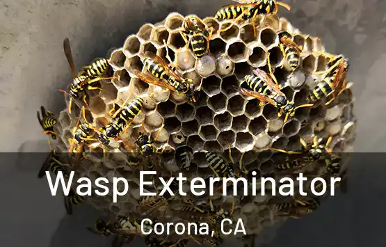  Wasp Exterminator Corona, CA